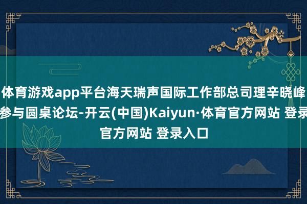 體育游戲app平臺海天瑞聲國際工作部總司理辛曉峰受邀參與圓桌論壇-開云(中國)Kaiyun·體育官方網站 登錄入口