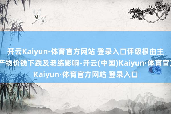 開云Kaiyun·體育官方網(wǎng)站 登錄入口評級根由主要包括：1）受產(chǎn)物價錢下跌及老練影響-開云(中國)Kaiyun·體育官方網(wǎng)站 登錄入口
