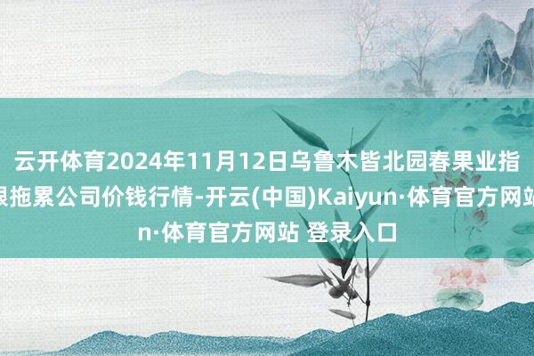 云開體育2024年11月12日烏魯木皆北園春果業(yè)指標處理有限拖累公司價錢行情-開云(中國)Kaiyun·體育官方網站 登錄入口